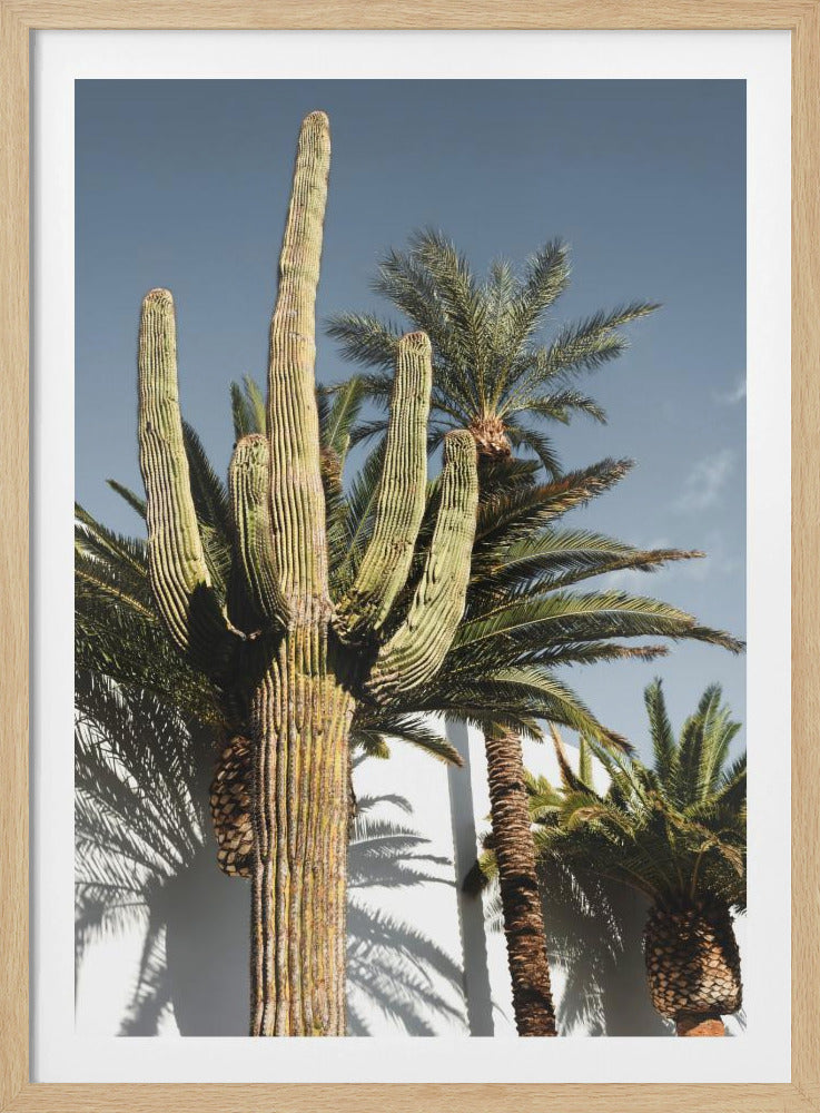 Kaktus Las Vegas | Poster