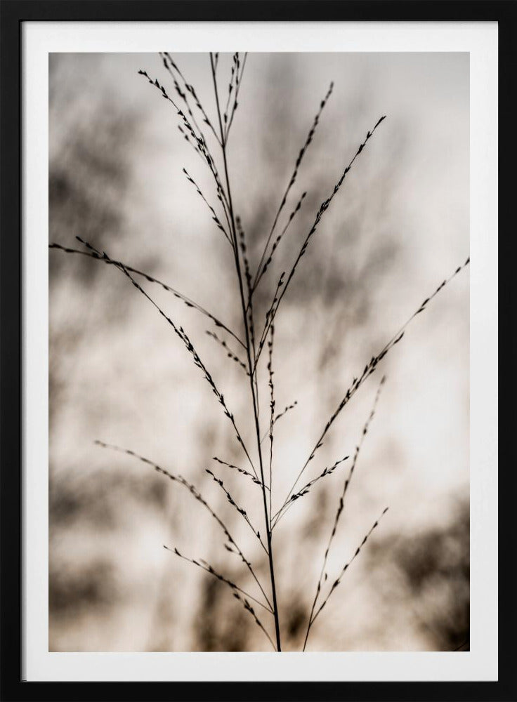 Grass 17 | Poster