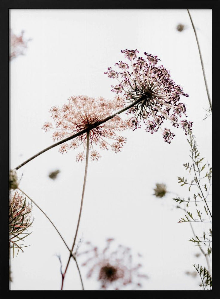 Sommerblumen | Poster