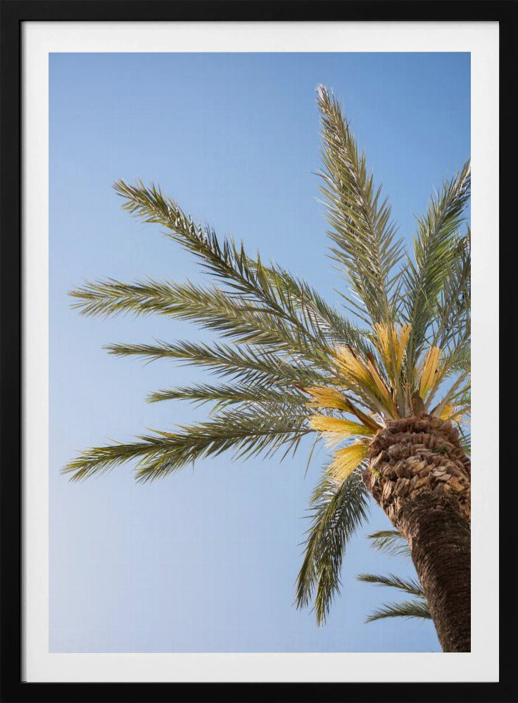 Vejer de La Frontera Palme | Poster