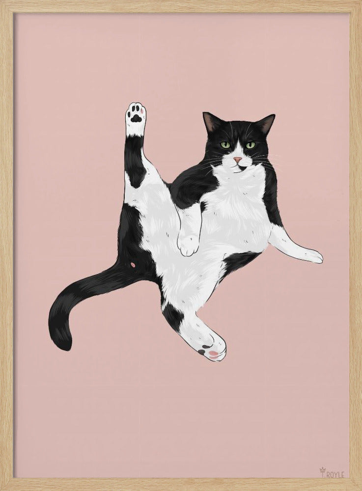 Katze in einer lustigen Pose | Poster