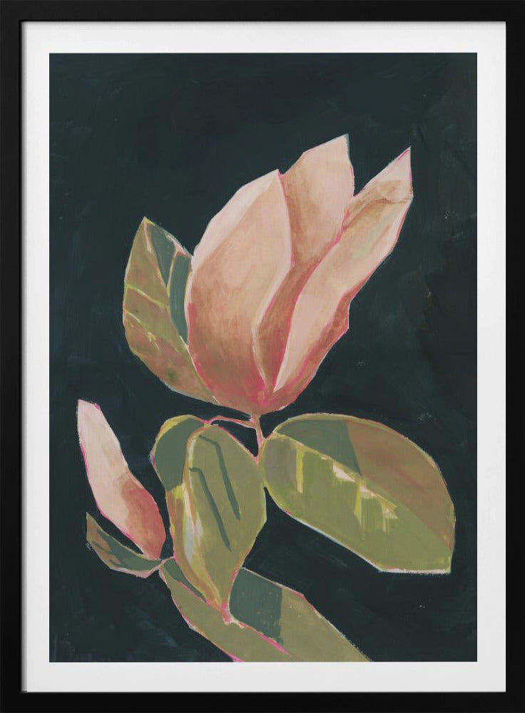 Magnolie im dunklen Hintergrund | Poster