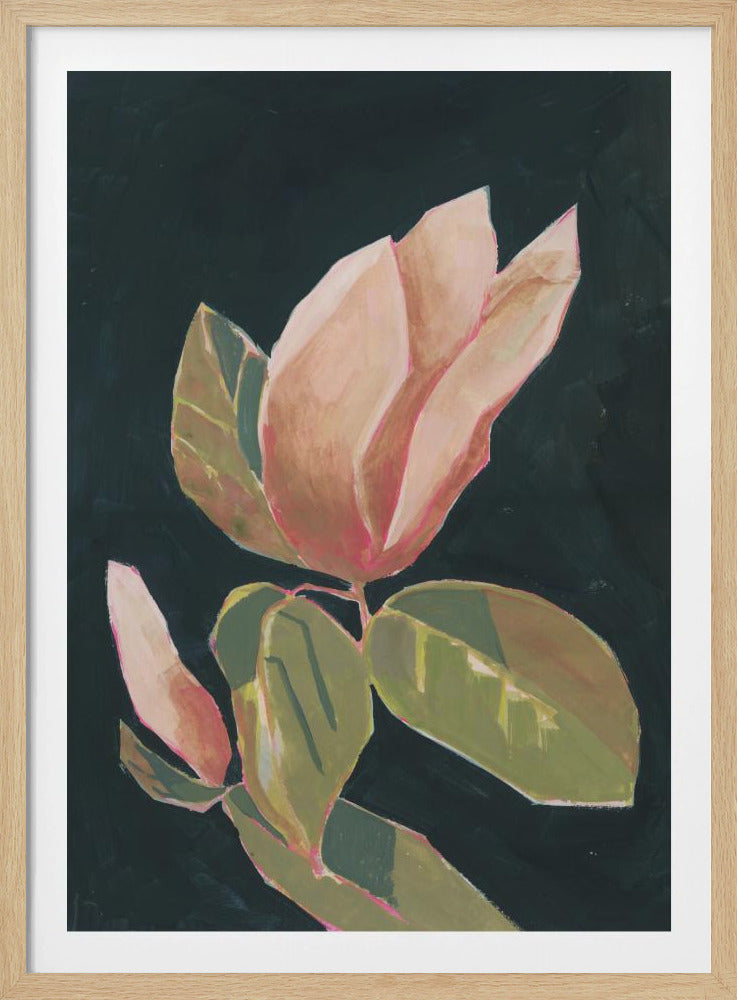 Magnolie im dunklen Hintergrund | Poster