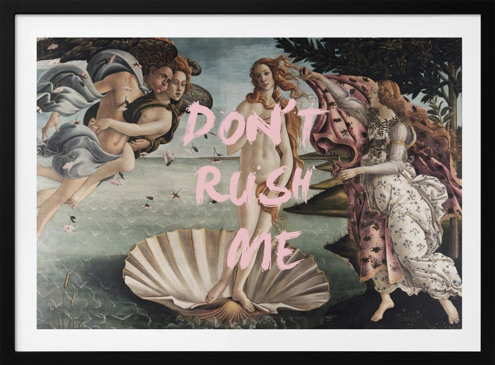 Venusdontrushme Verhältnis 2x3 | Poster