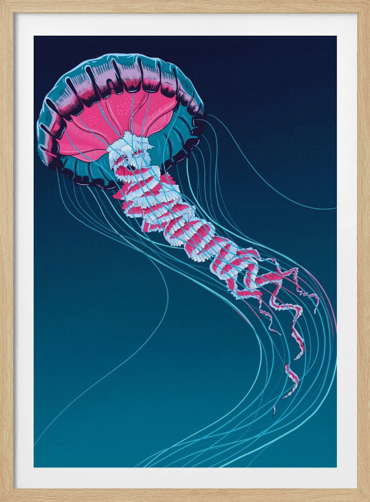 Löwenmähnenqualle | Poster