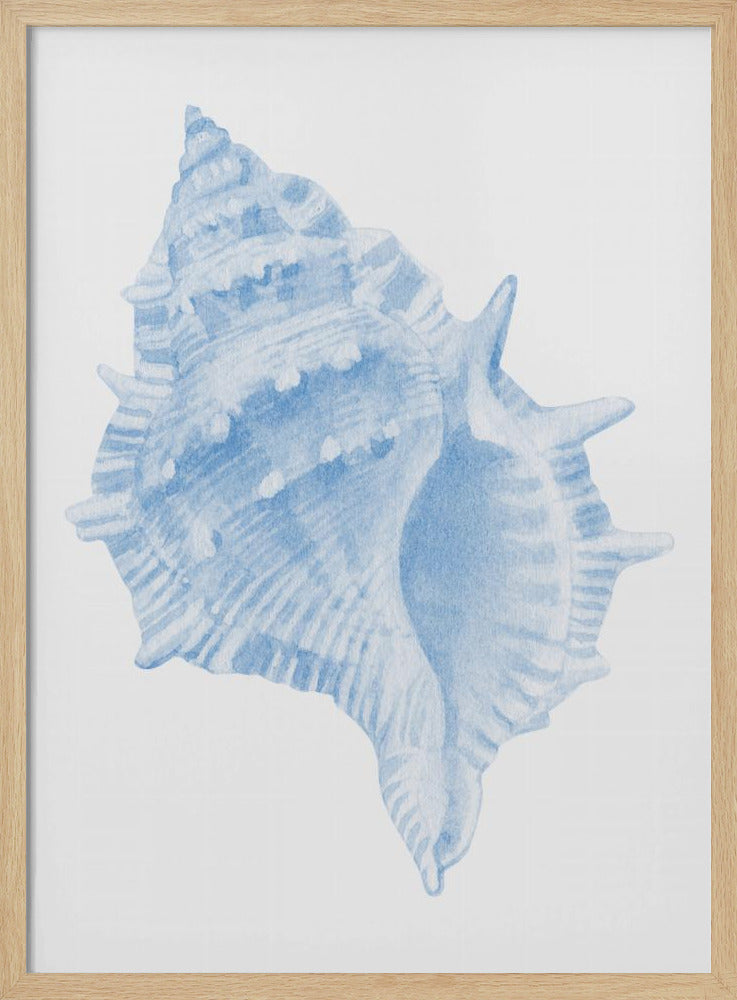 One Blue Conch | Poster
