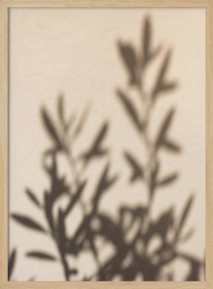 Summer Shadows 6 | Poster