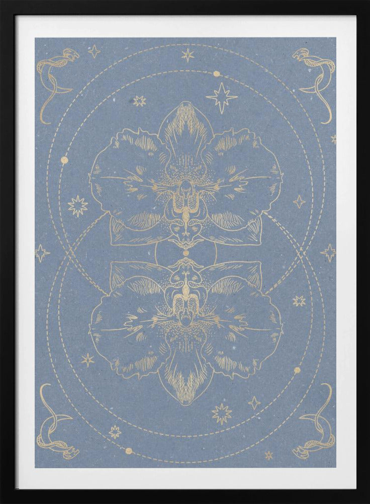 Die mystische Orchidee | Poster