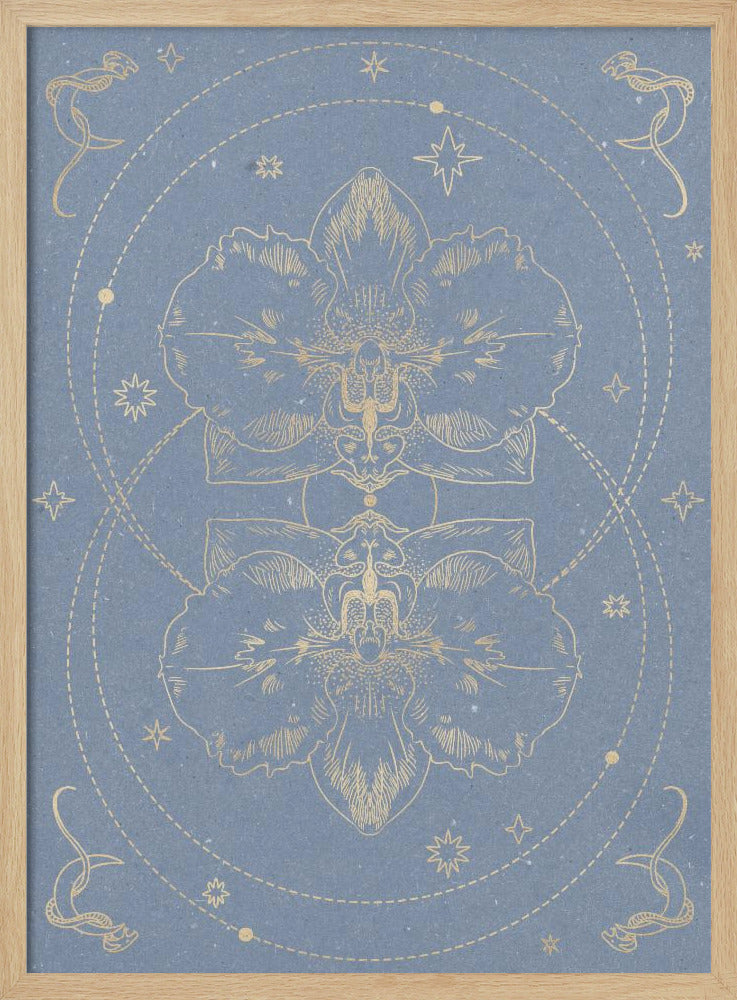 Die mystische Orchidee | Poster