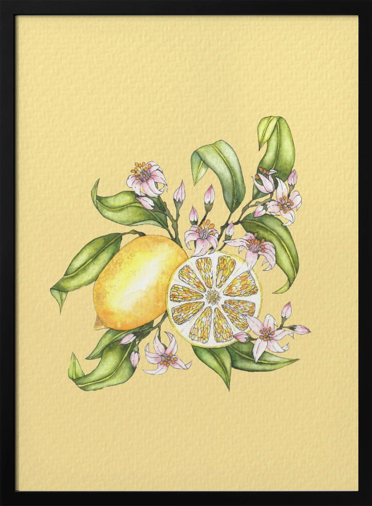 Lemon illustration | Poster