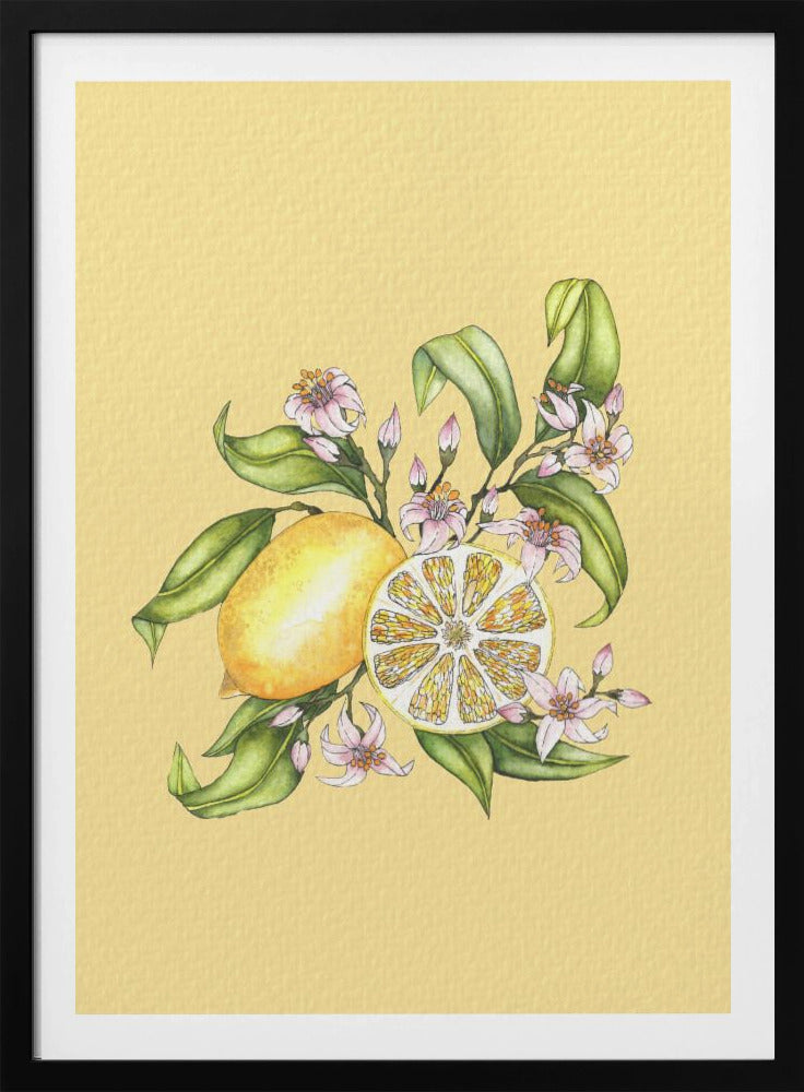 Lemon illustration | Poster