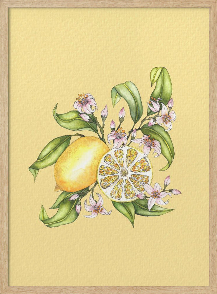Lemon illustration | Poster