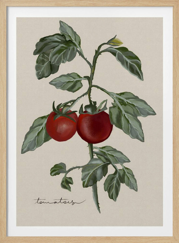 Vintage Garten | Poster