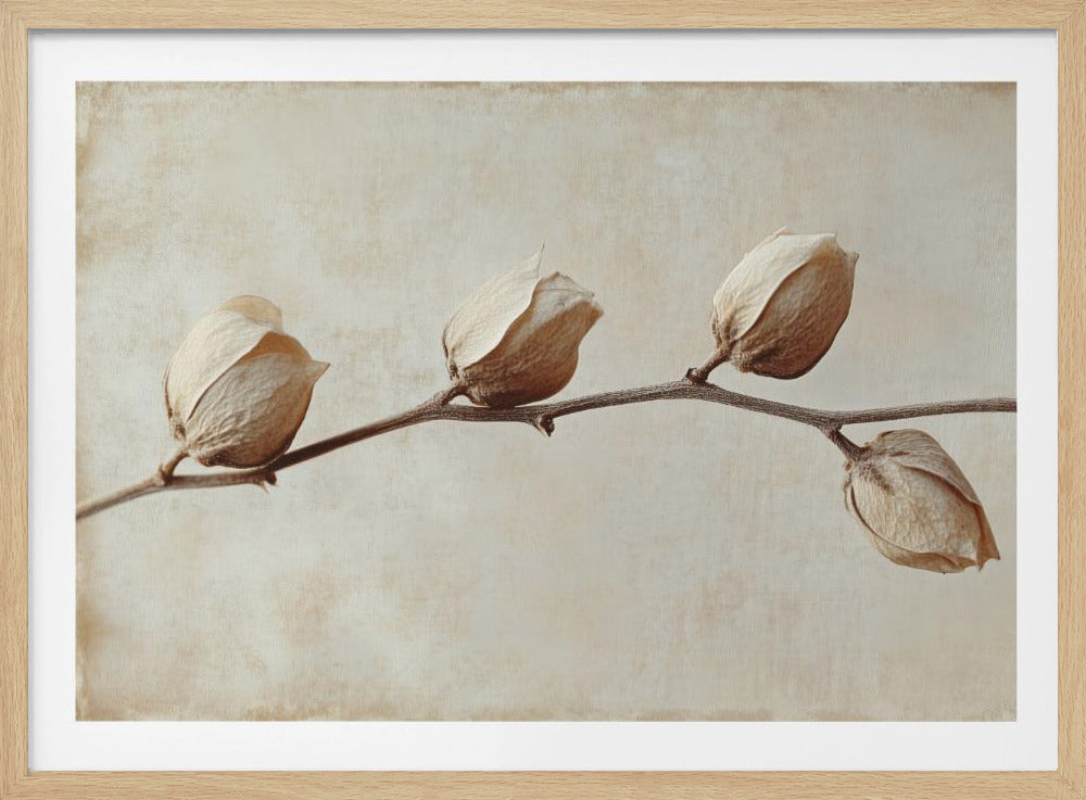 Verblasste Eleganz | Poster