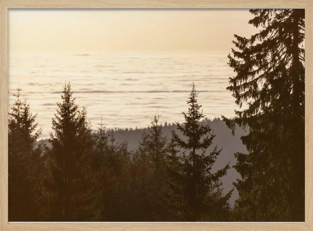 Goldene Stunde 5 | Poster