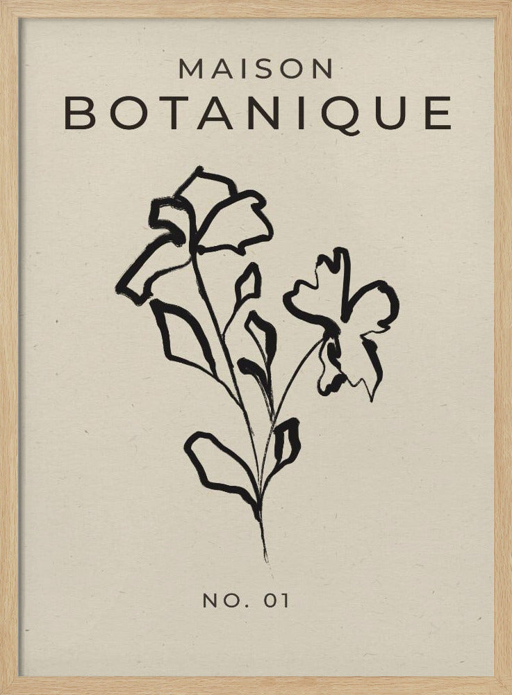 Botanische Skizze | Poster