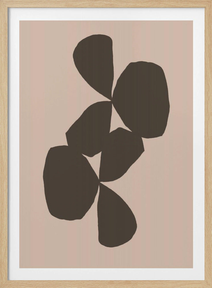 Petals in Contrast | Poster