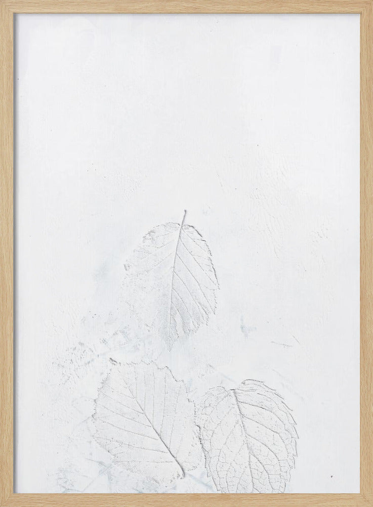 Minimale Blätter | Poster