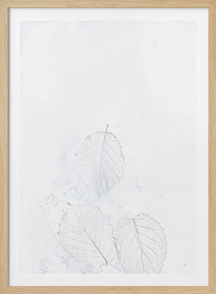 Minimale Blätter | Poster