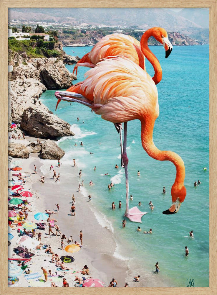 Flamingos am Strand | Poster