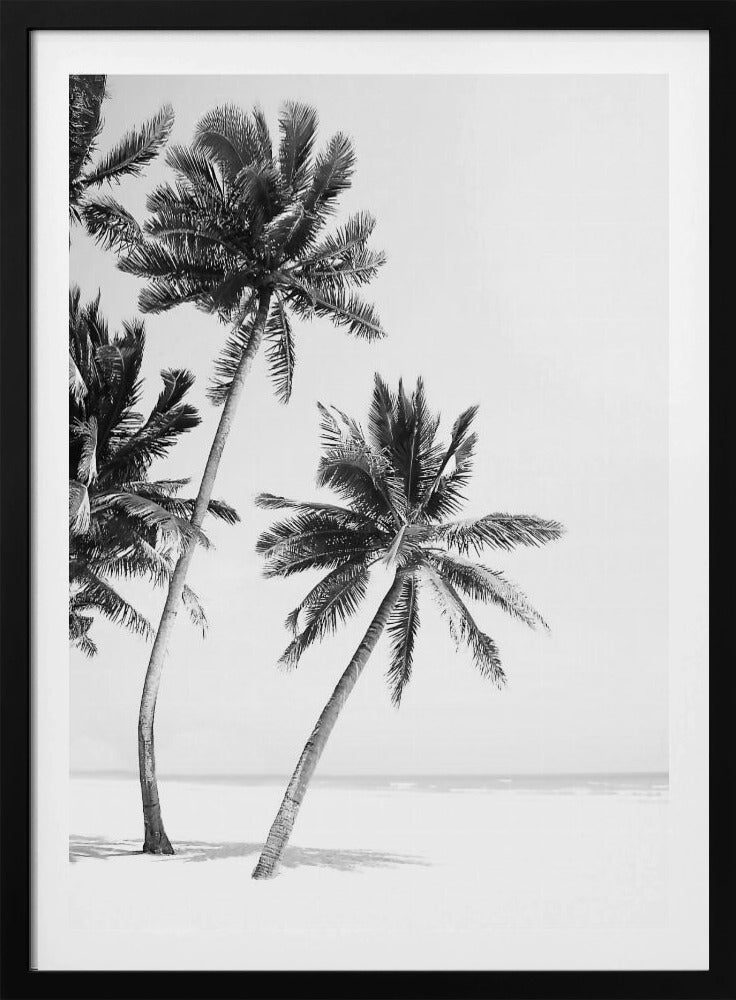 Island | Poster