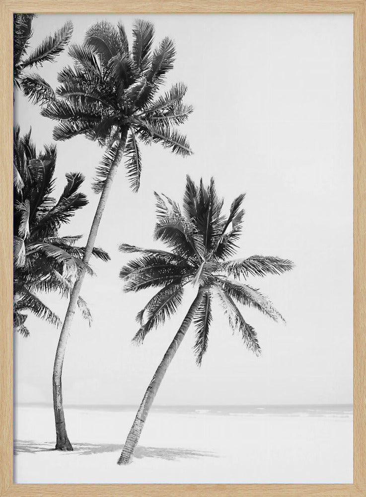 Island | Poster