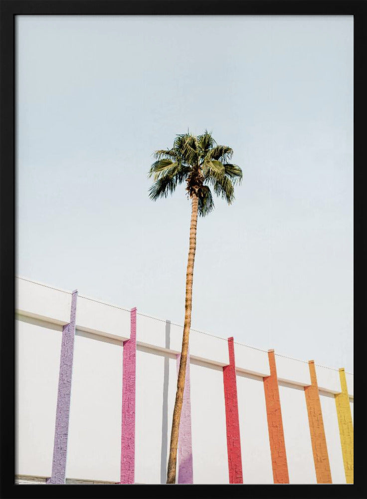Palmenfrühlingsfarben 2 | Poster