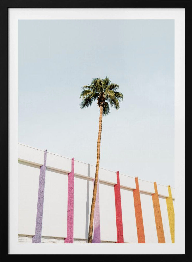 Palmenfrühlingsfarben 2 | Poster