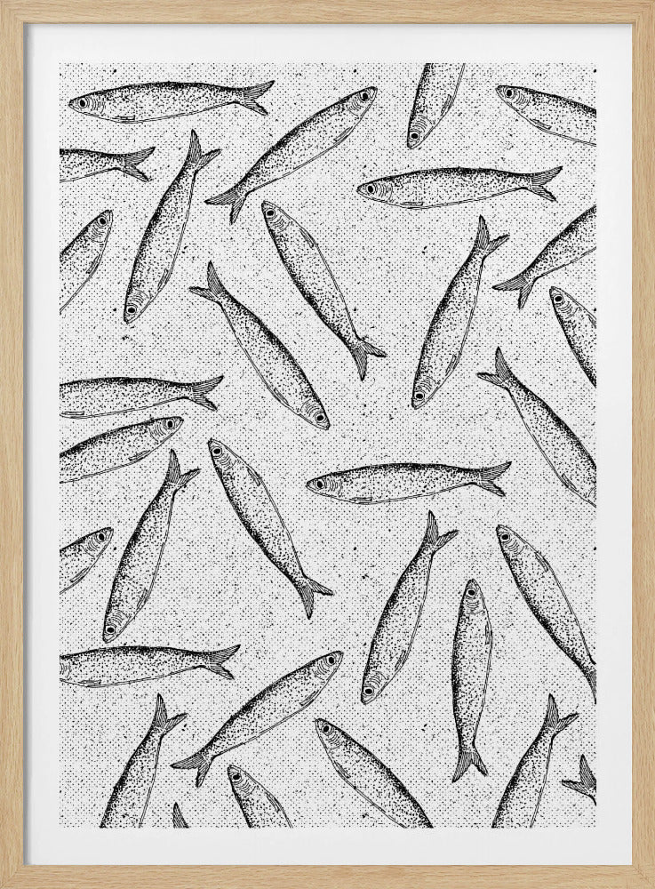 Sardinenfischmuster | Poster