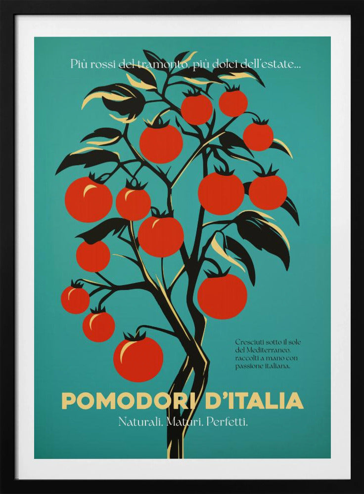 Leuchtend rote Tomaten | Poster