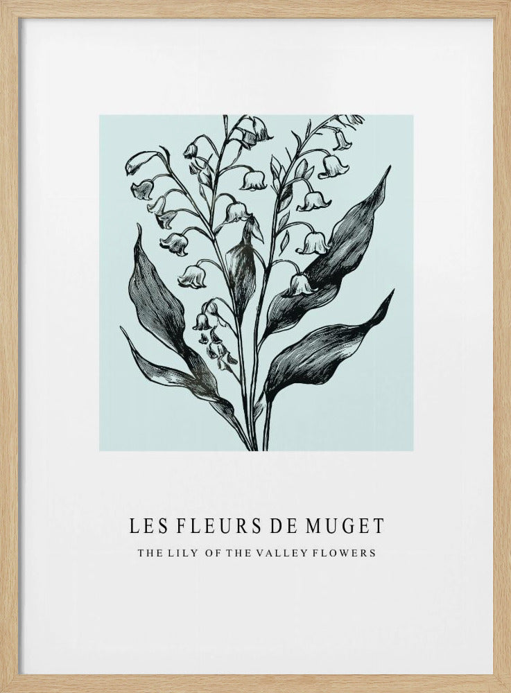Maiglöckchenblüten in einer monochromen Illustration | Poster