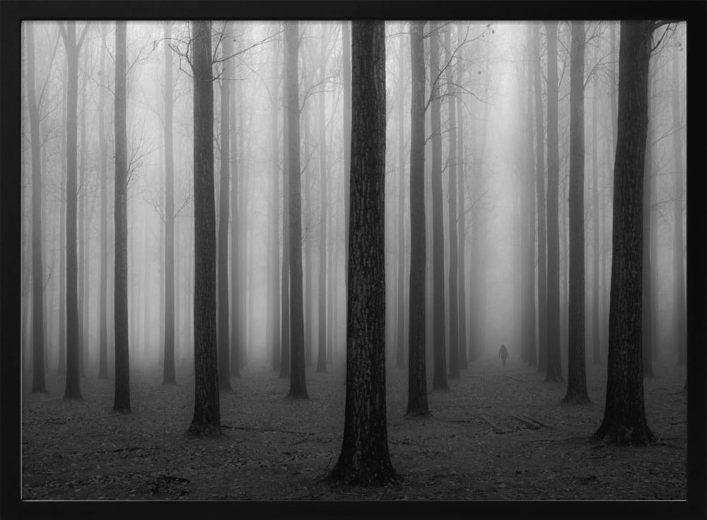 Im Nebel | Poster