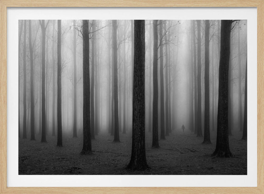 Im Nebel | Poster