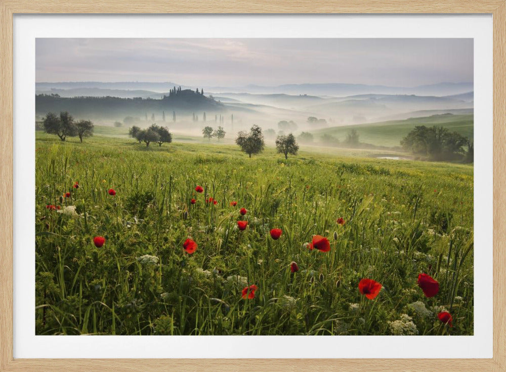 Toskanischer Frühling | Poster