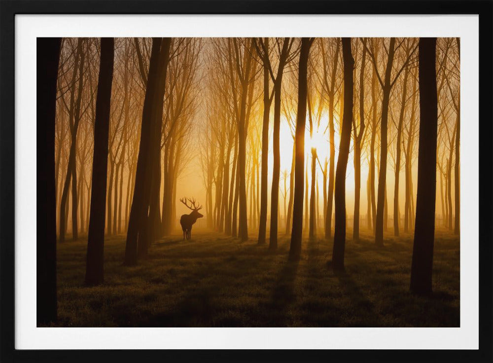 Es war einmal | Poster