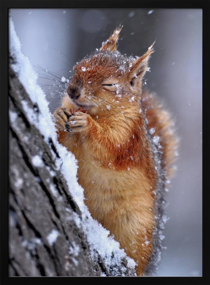Winter | Poster