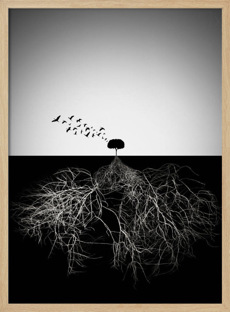 Urteile nicht nach dem Aussehen | Poster