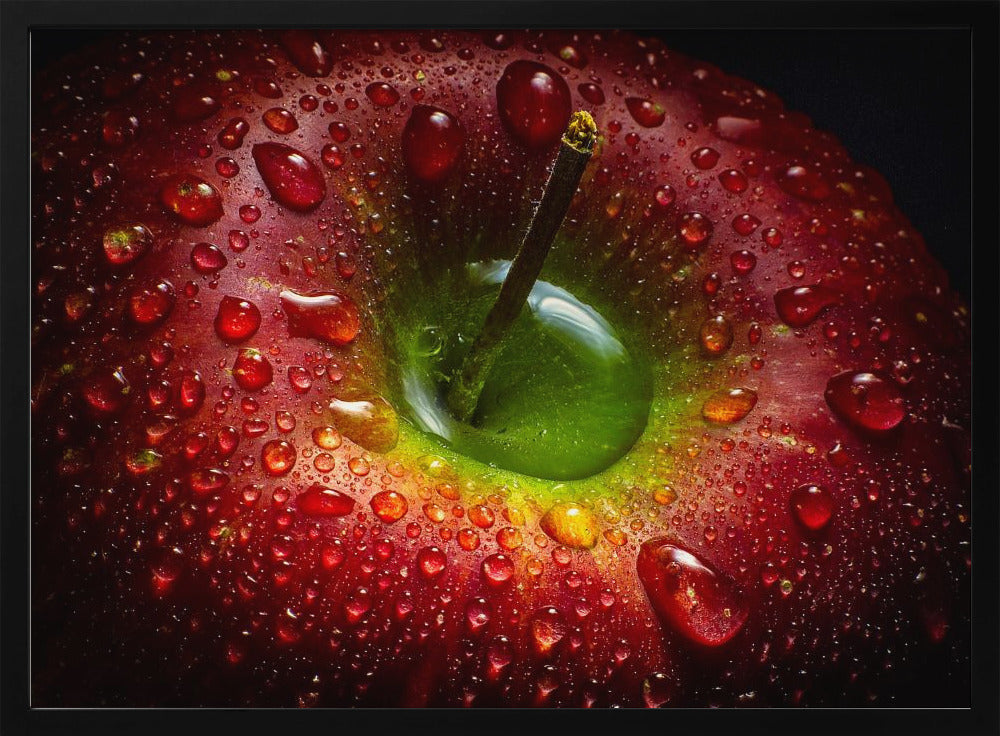 Roter Apfel | Poster