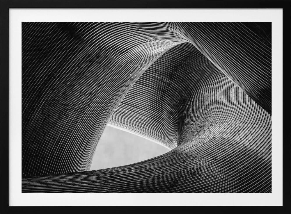 entwined | Poster