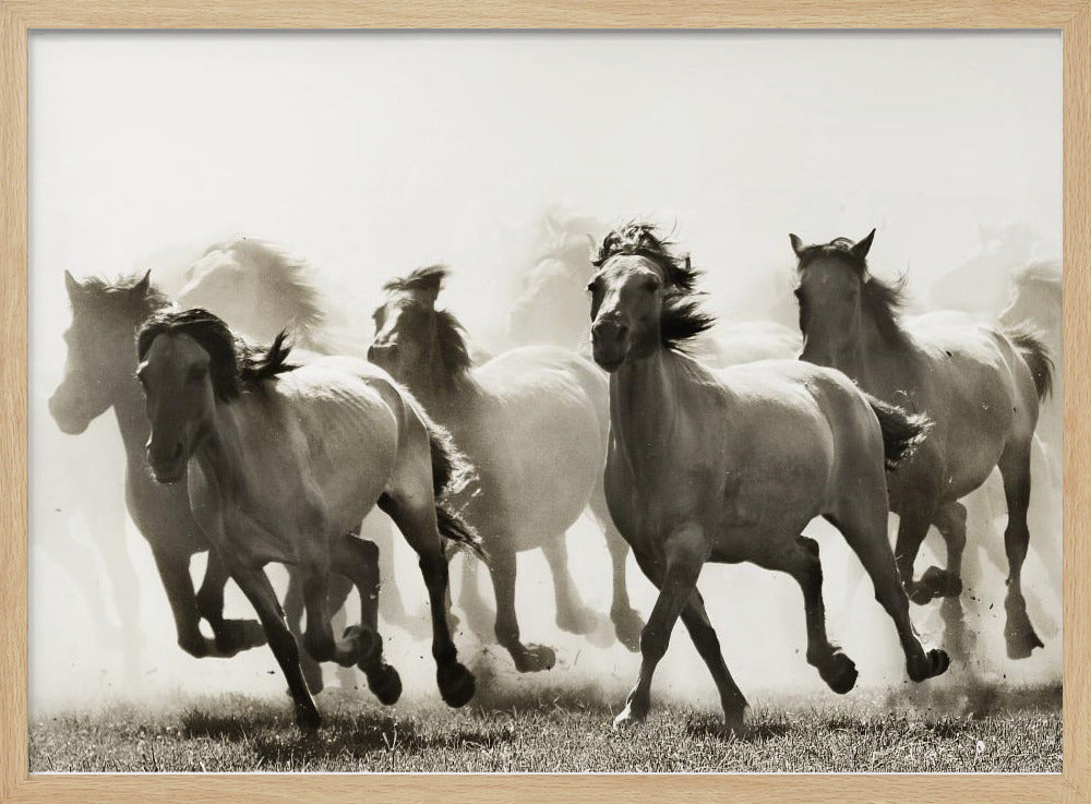 Pferd | Poster