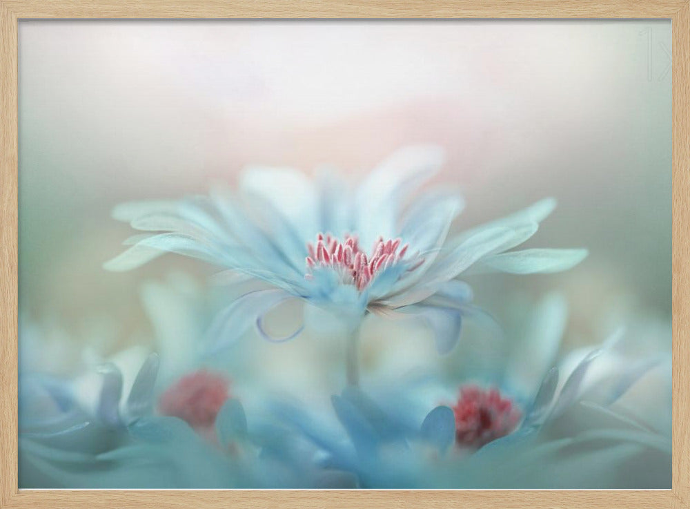 Fantasie | Poster