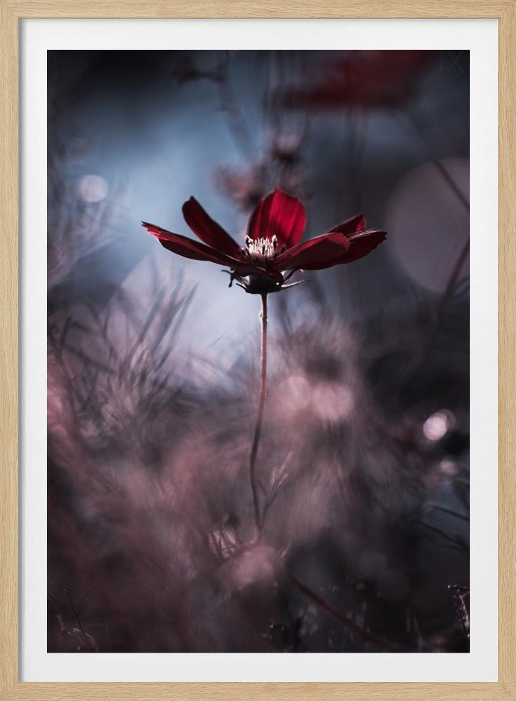 Abendgarderobe | Poster
