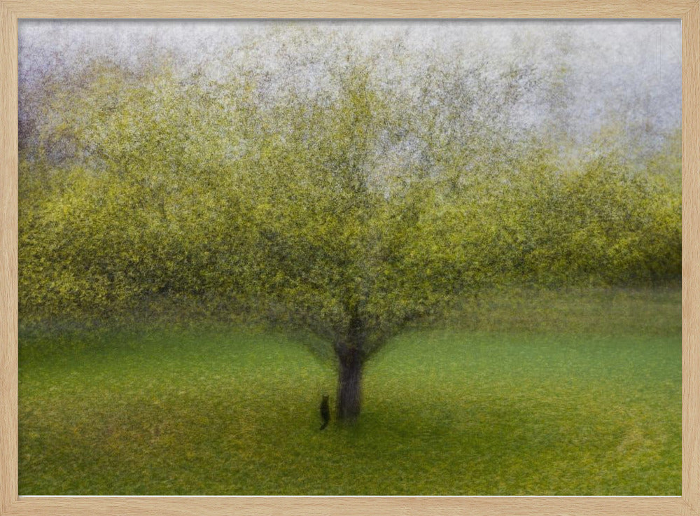 Die Katze am Baum | Poster
