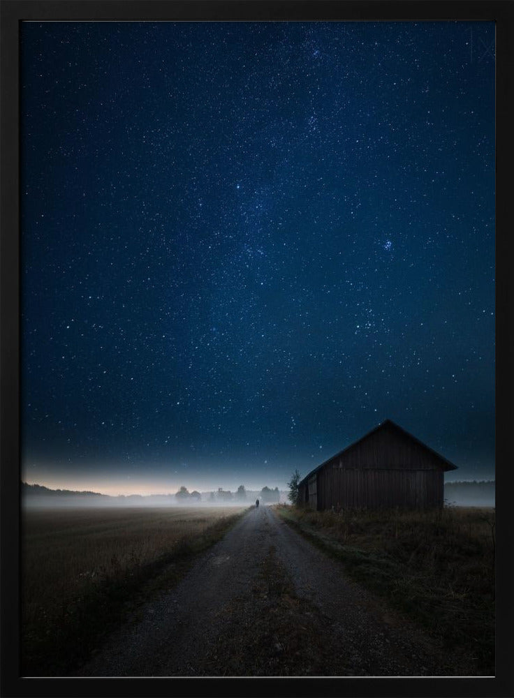 Ich gehe allein | Poster