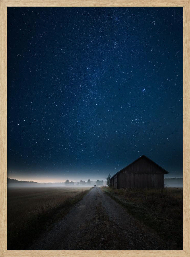 Ich gehe allein | Poster