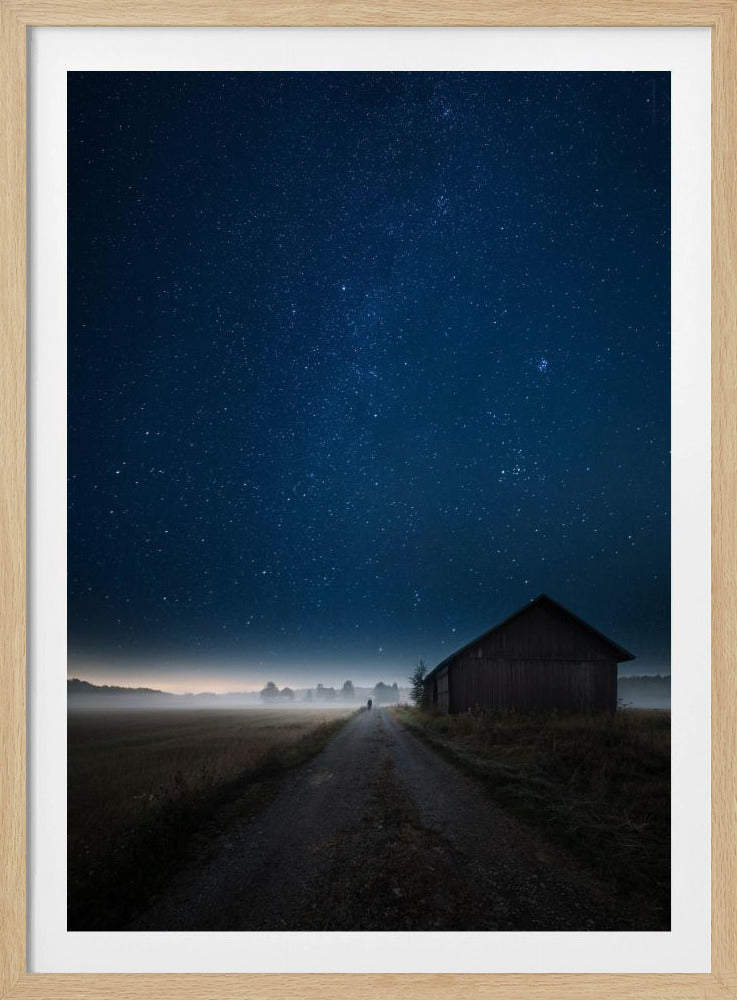 Ich gehe allein | Poster