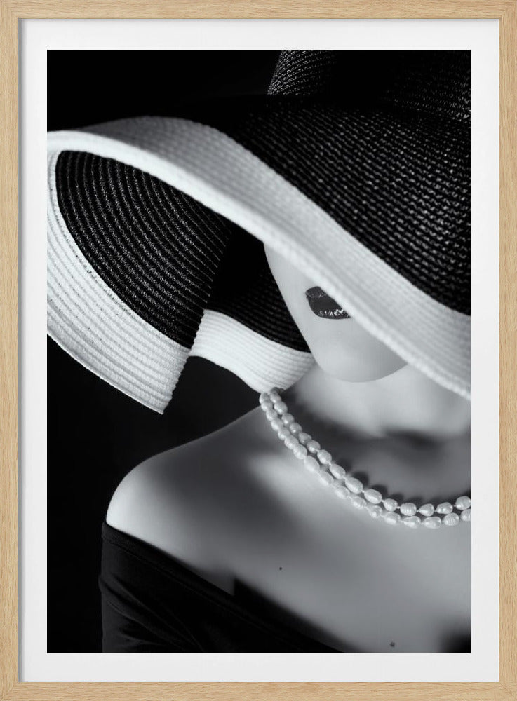 Eleganz im Schatten | Poster