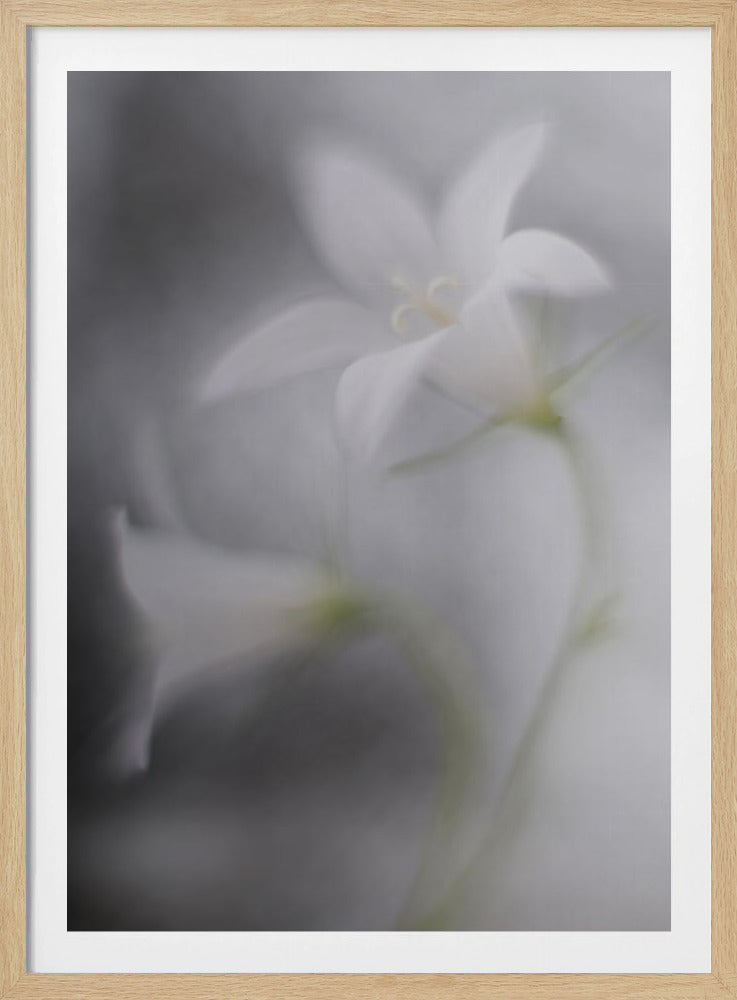 Bells | Poster