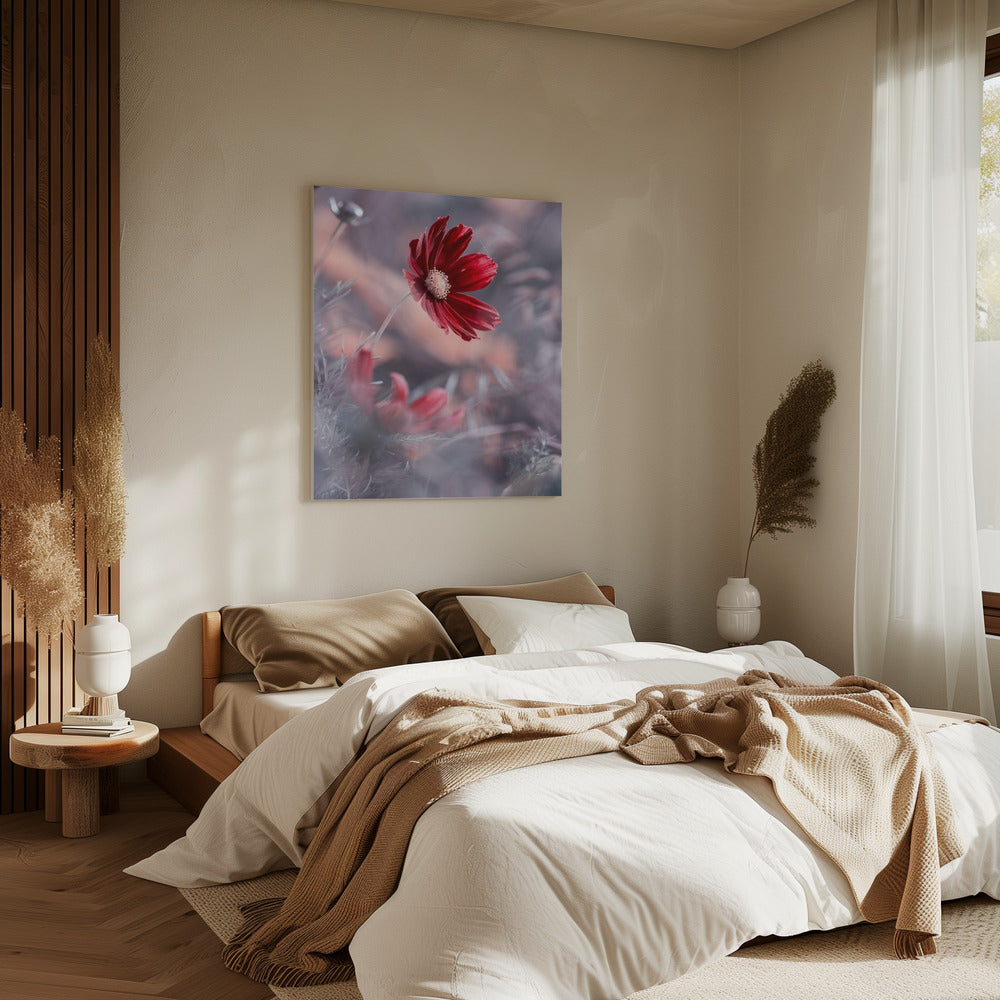Carmen II | Canvas