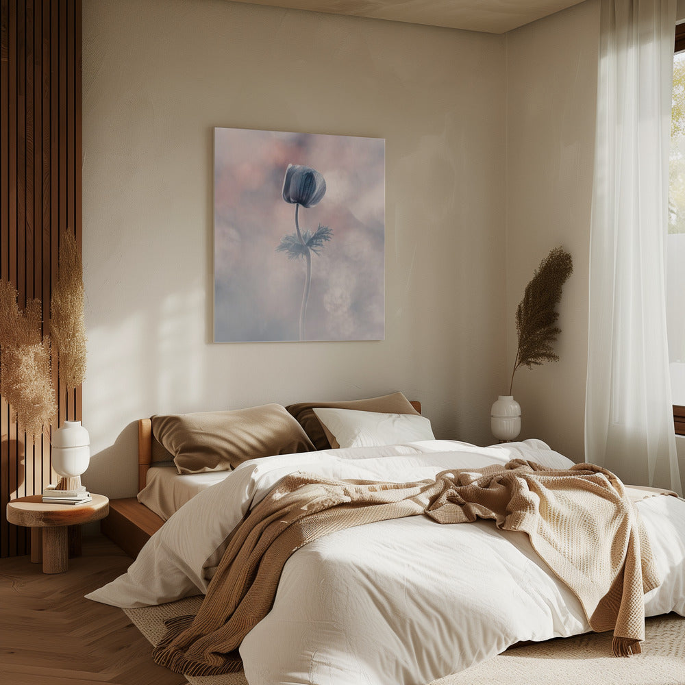 Soliste | Leinwand